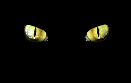 RSA Conference 2015 – Into Darkness