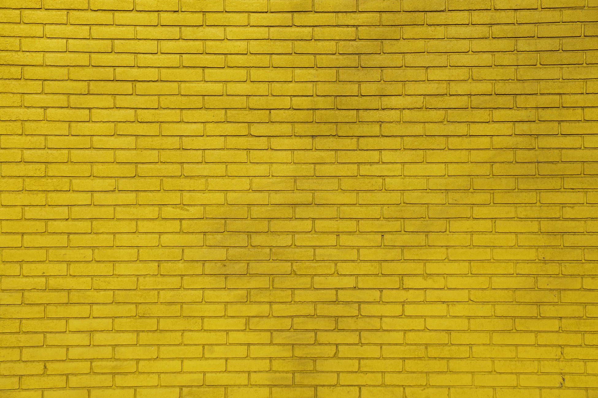 Goodbye Yellow Brick VAR - Anitian