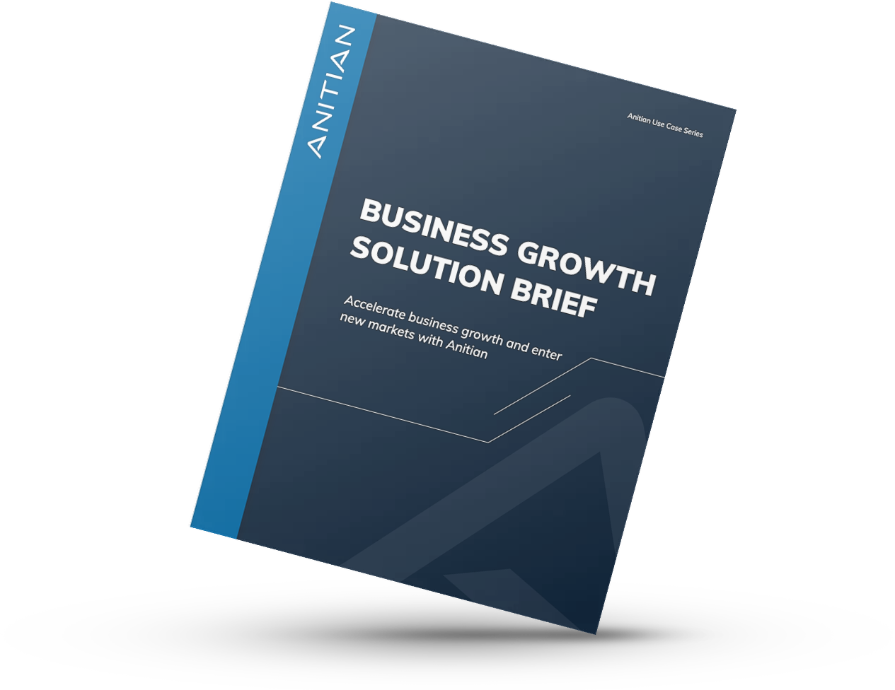 Business Growth Solution Brief - Mockup